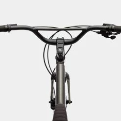 Cannondale Treadwell 2 Ltd - RAW / Limited 10 Cannondale Treadwell 2 Ltd - RAW / Limited -Singlespeed Verkaufsgeschäft Cannondale Treadwell C21 C37201M RAW 3